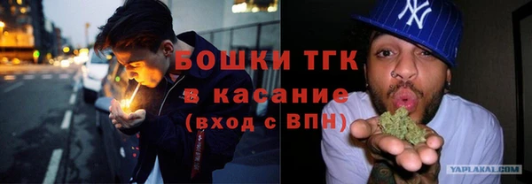 сатива Армянск