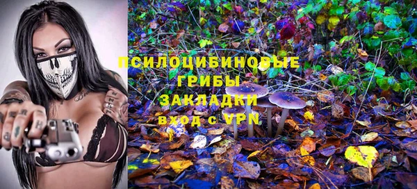 эйфоретик Аркадак