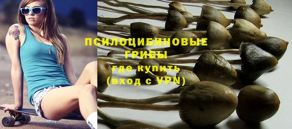 эйфоретик Аркадак