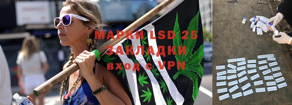 сатива Армянск