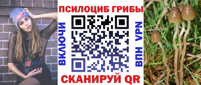 Псилоцибиновые грибы мицелий  дарнет шоп  Ликино-Дулёво 